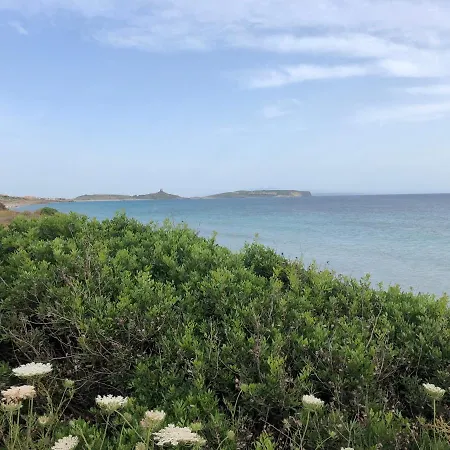 I Colori Del Sinis 別荘 *